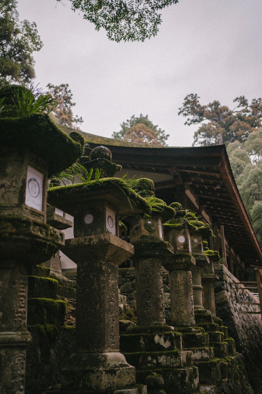 Kyoto quiet temple garden